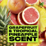 AXE Epic Fresh Deodorant Body Spray - Pomelo & Cardamom, Case of 12 - Image 3