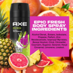 AXE Epic Fresh Deodorant Body Spray - Pomelo & Cardamom, Case of 12 - Image 5